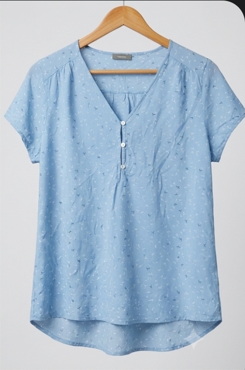Light Blue Printed V-Neck Blouse